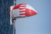 2007_0408_172936AA